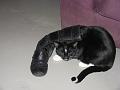 Spike 14 maart 2009 (1)
